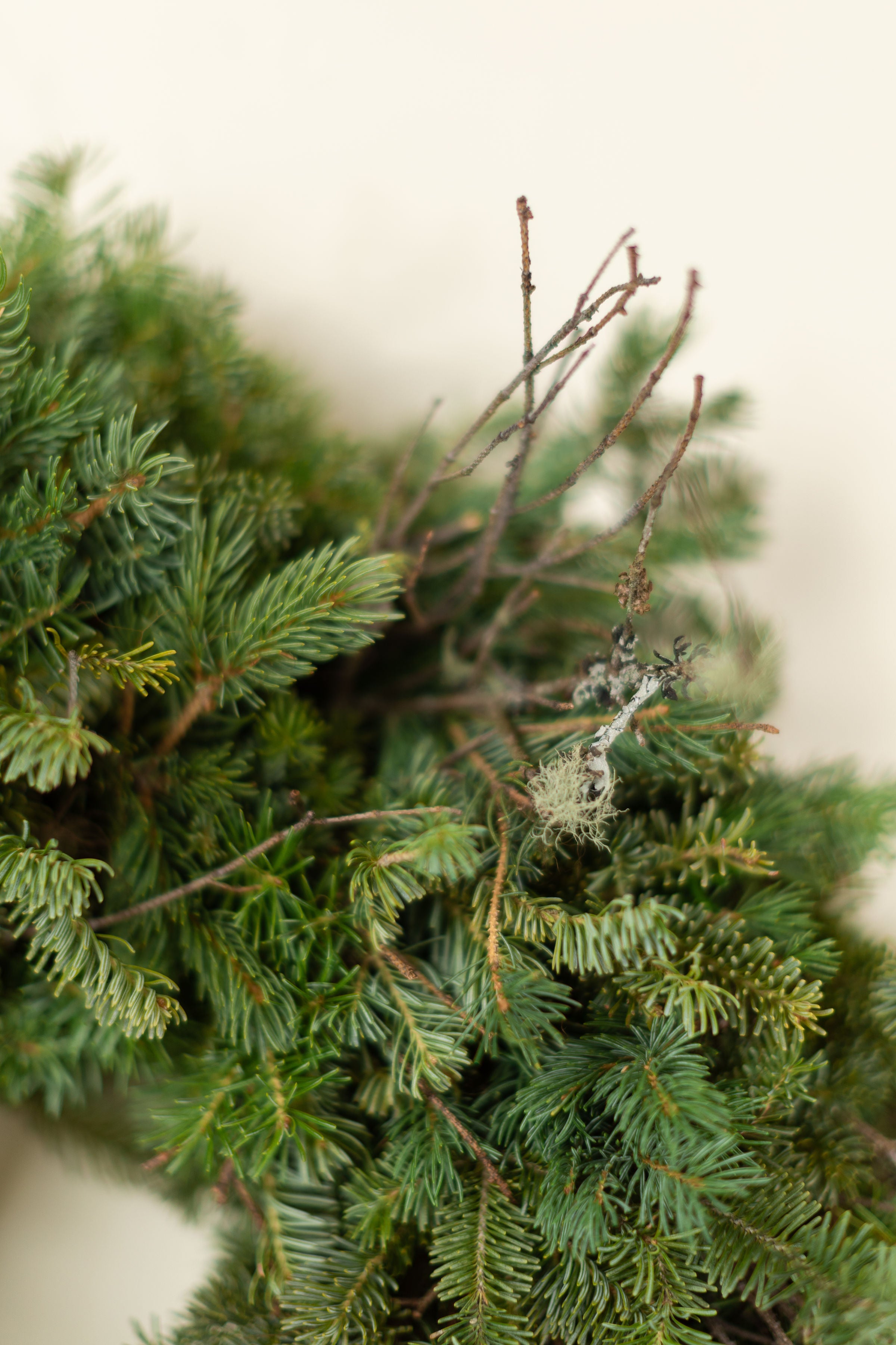 River Valley Wreath