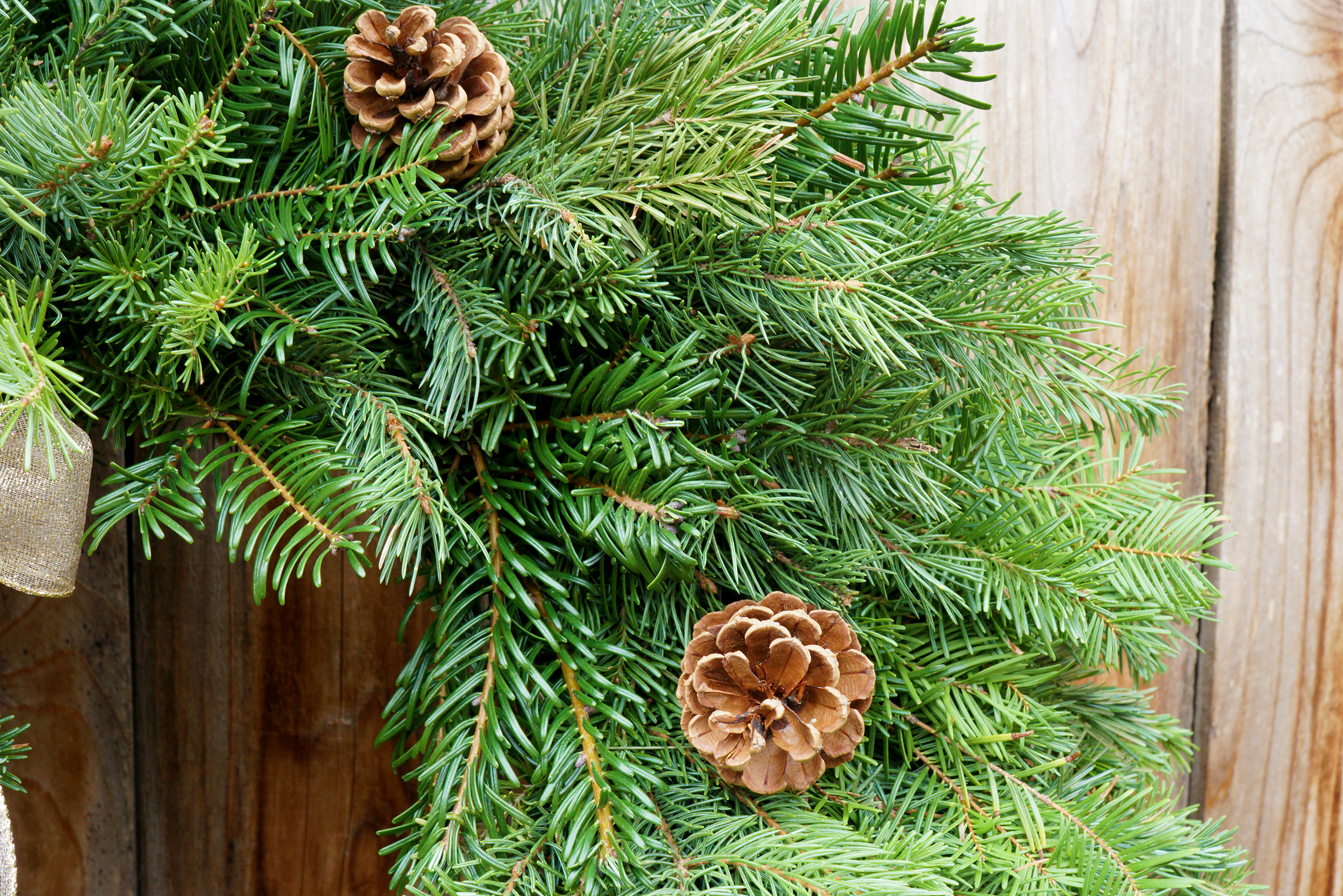 Montana Woodland Wreath