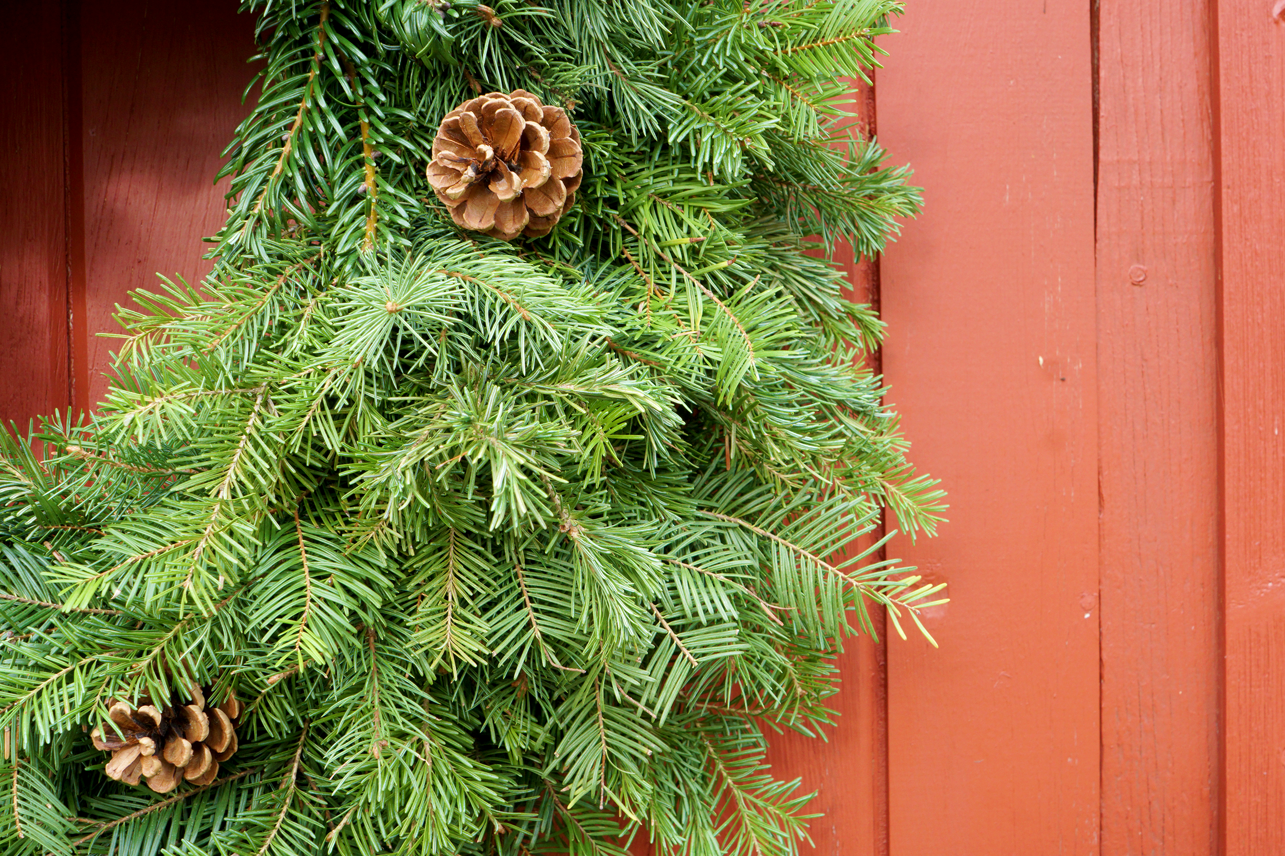 Montana Woodland Wreath